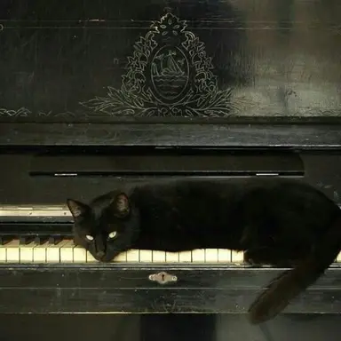 Profile image of 로에르 블랙우드