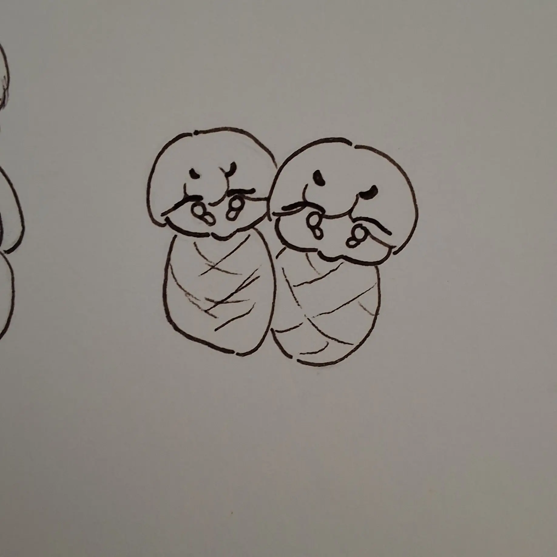 MeagerSlice6424의 당신을 따라하는 아기쌍둥이(이름알아서 지으세요)
