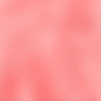 Profile image of 라더