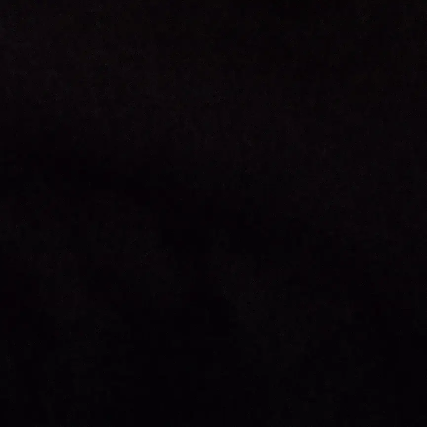_x.x의 신예은