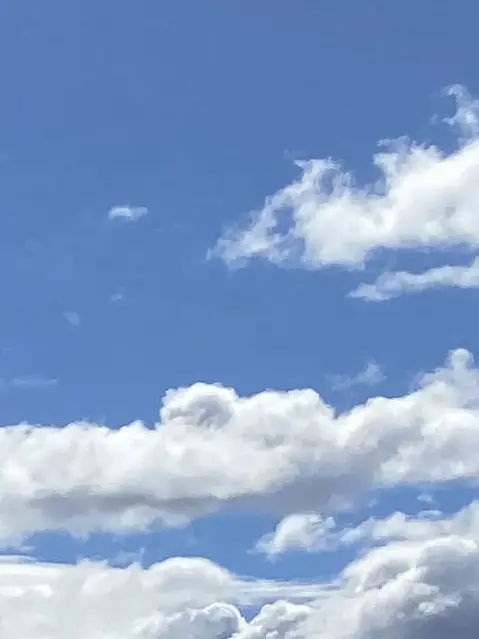 hiiragi_708의 婚約者はまさかの未成年(🌞)
