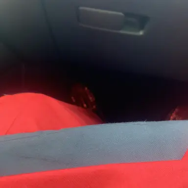 Profile image of Stolas