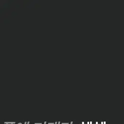 DumX3yeah25의 김동현