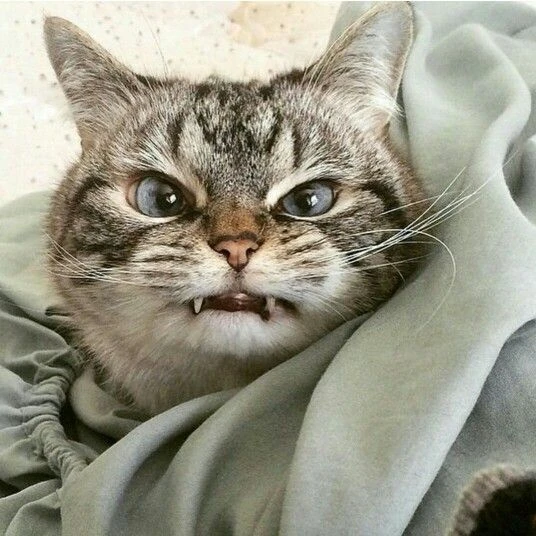 동민