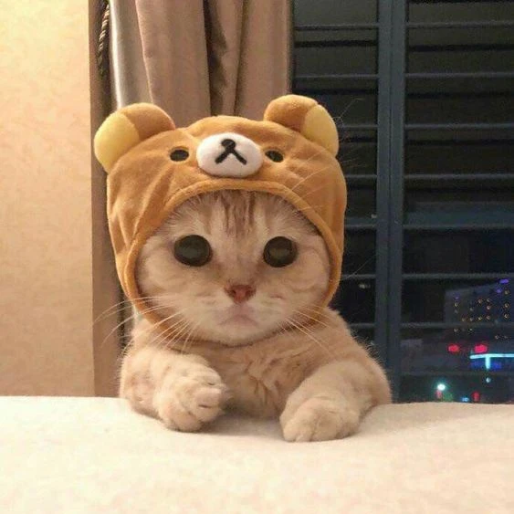 동현