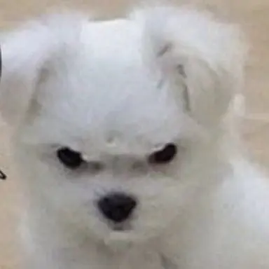 Profile image of 리쿠