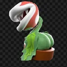 Profile image of Stout Snapper