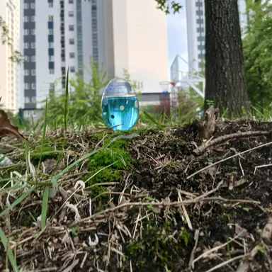 Profile image of 평학