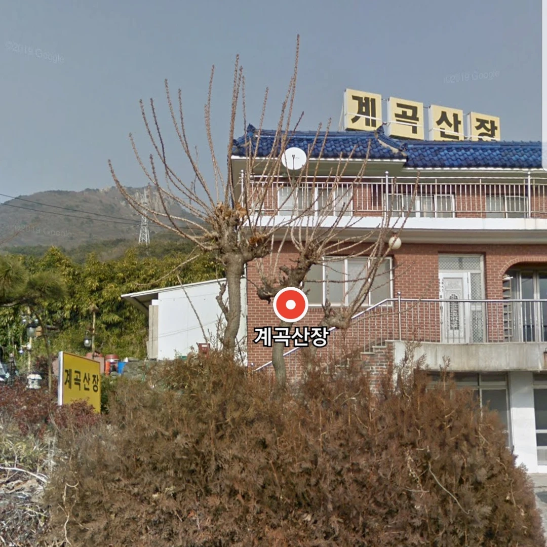 산장자매 소연 서연