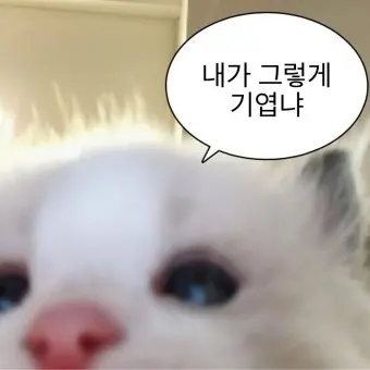 HeavyPan6173의 합이볼