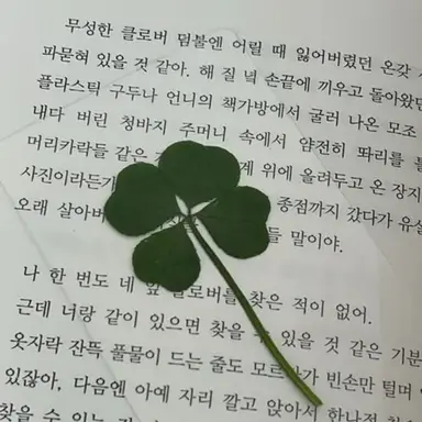 Profile image of 정 공룡