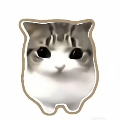 Profile image of 담담 비비비