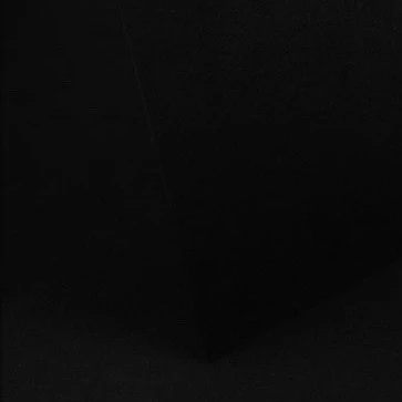 전정국