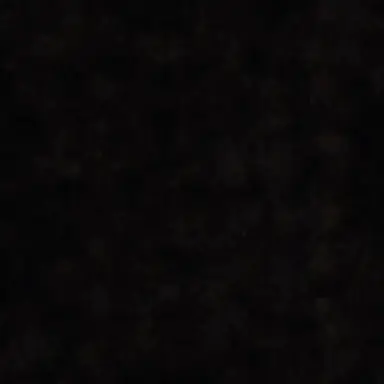 Profile image of Manuka mafia