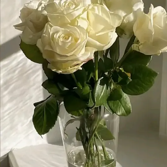 FrailFart8252의 대충 AI한테 숙제나 공부 물어보기