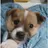 귀염둥이둥이