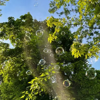 Profile image of 정형준