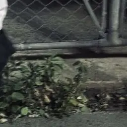 Profile image of 김동현