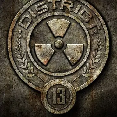 Profile image of DISTRICT 13