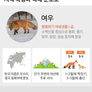 Profile image of 여우