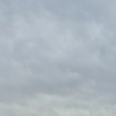 Profile image of 루미