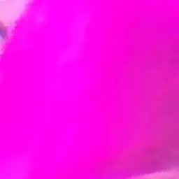Profile image of しにがみ