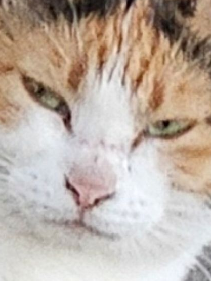 ㅤ 대표 이미지