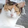 Profile image of U