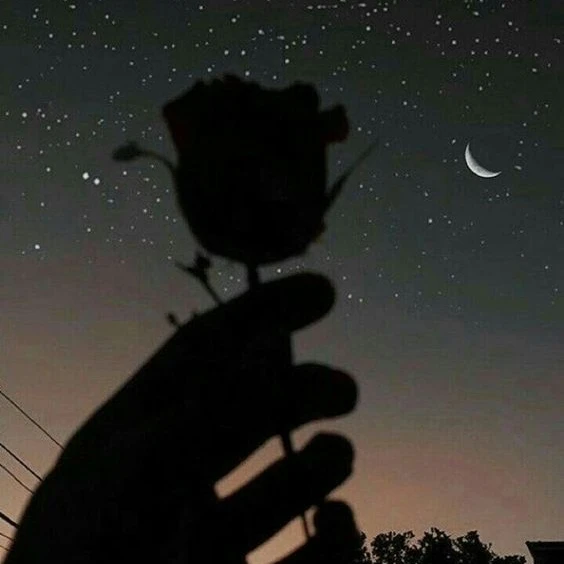 뜰팁