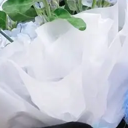 에스파멤버되기! 대표 이미지