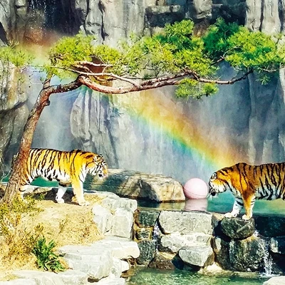 수인 동물원
