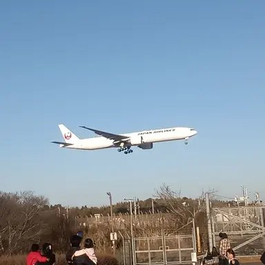 Profile image of JAL