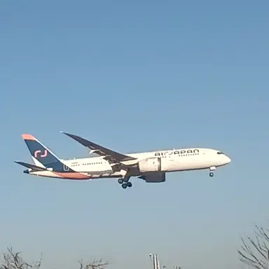 Profile image of JAPANAIR