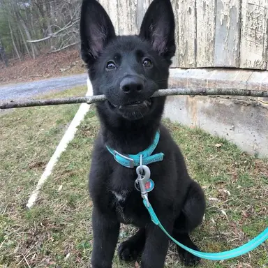 Profile image of 리오