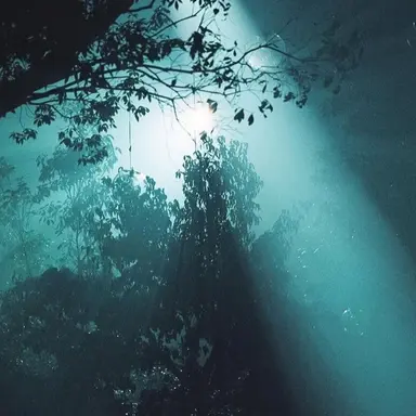 Profile image of 舜斗