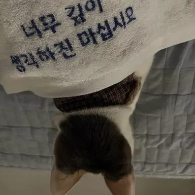 Profile image of 황수현