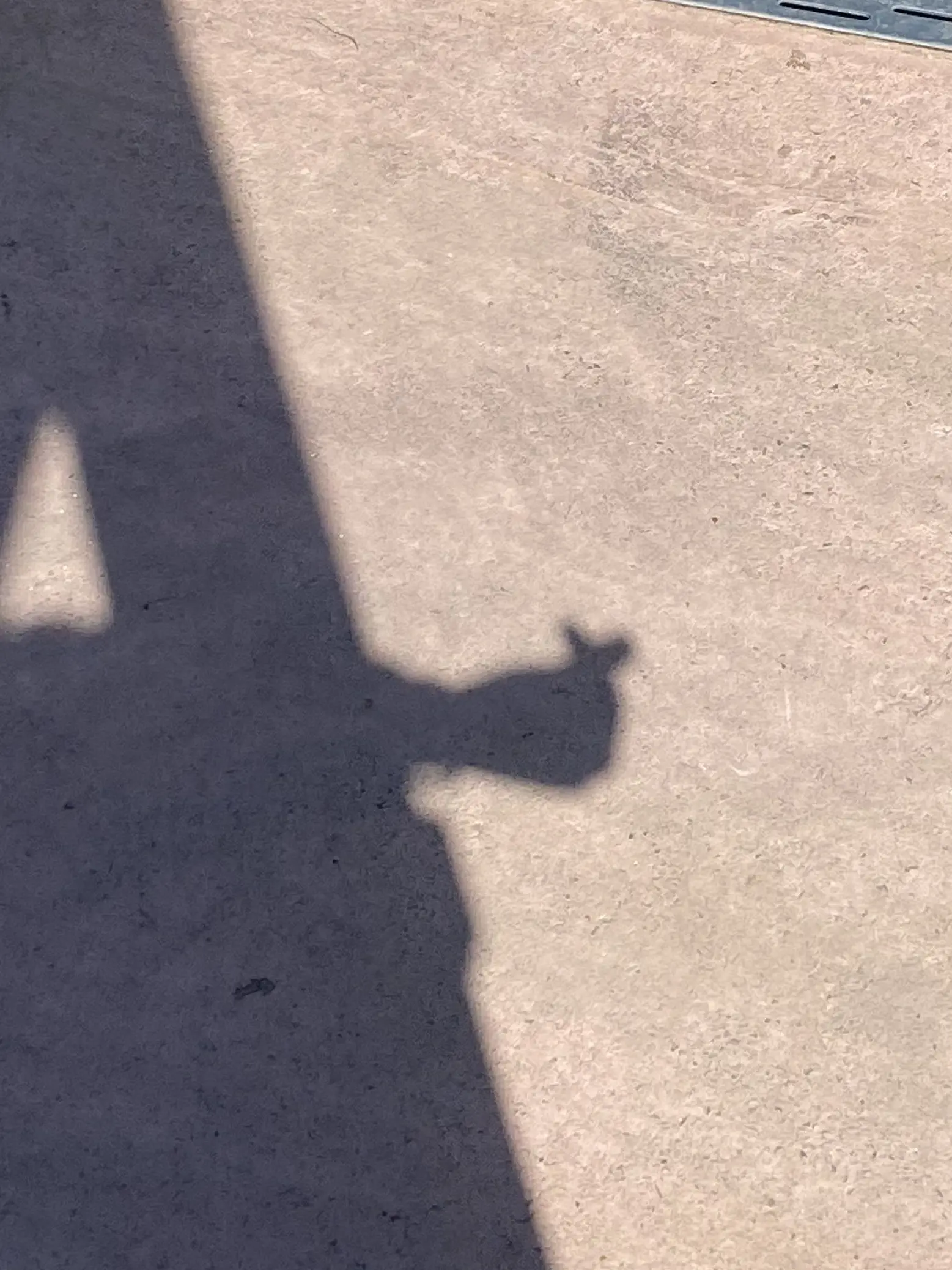 Roblox_yuki의 자기가 예쁜 줄 아는 여우녀