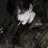 임도현