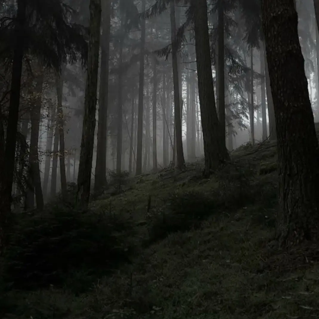 FolksyCumin0199의 Haunted Melody