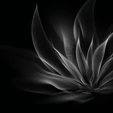 Profile image of 北条ノ瀬菖