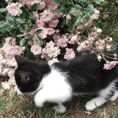 Profile image of 베르