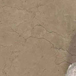 윤정핝