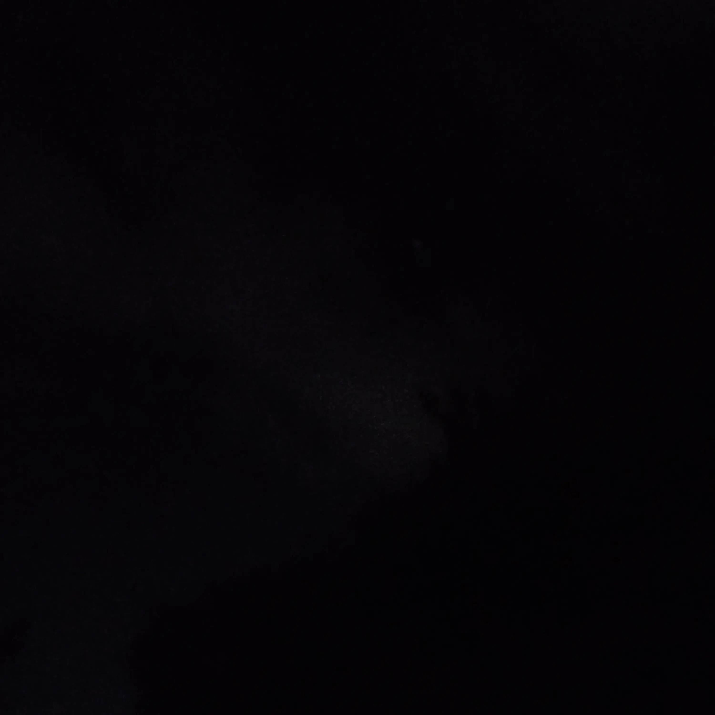 riize.의 박원빈과 달달한 연애