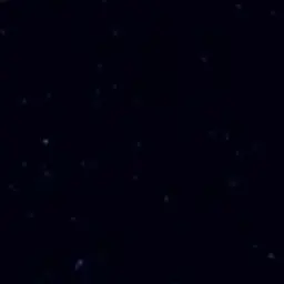 DrearySleep4784의 타코
