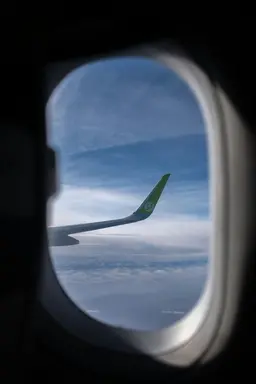 Profile image of 정공룡