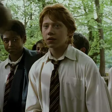 Profile image of ron