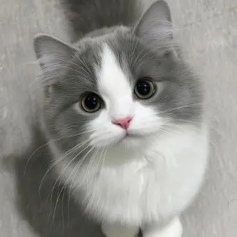 Profile image of JH