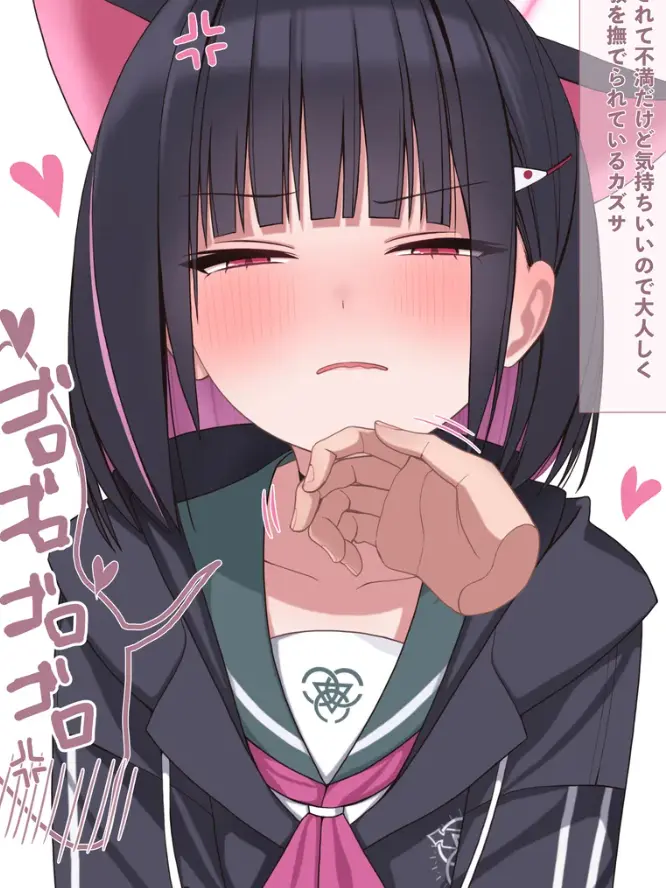 kyou127의 猫チャンシスターズ