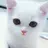 연준에 고양이