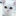 연준에 고양이